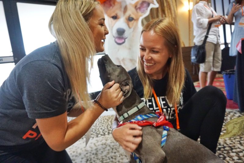 pit bull and two smiling girls