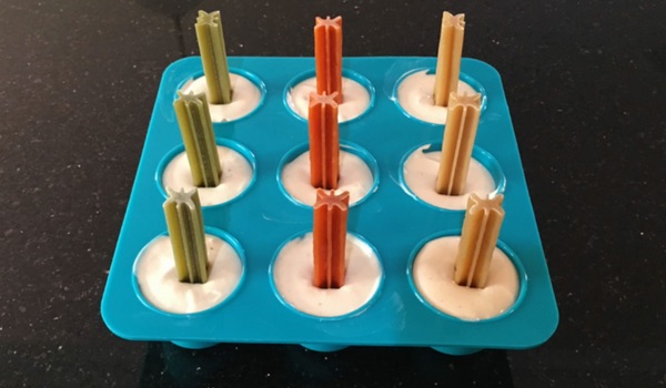 dog popsicles ready to set in freezer