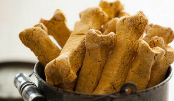 pumpkin dog treats