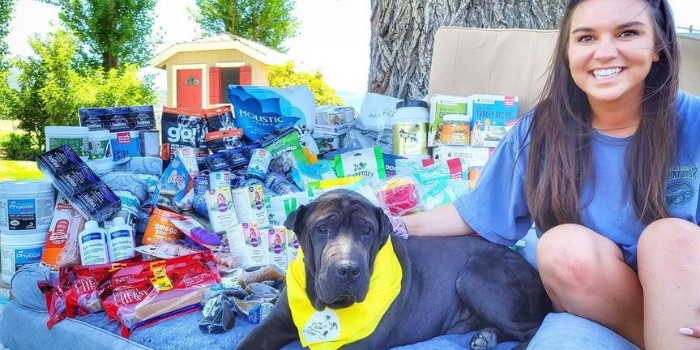 rescue dog with products