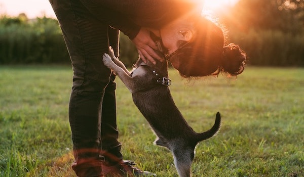 woman leaning over and kissing dog