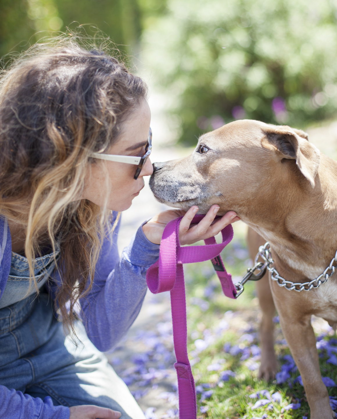 woman kissing pit bull