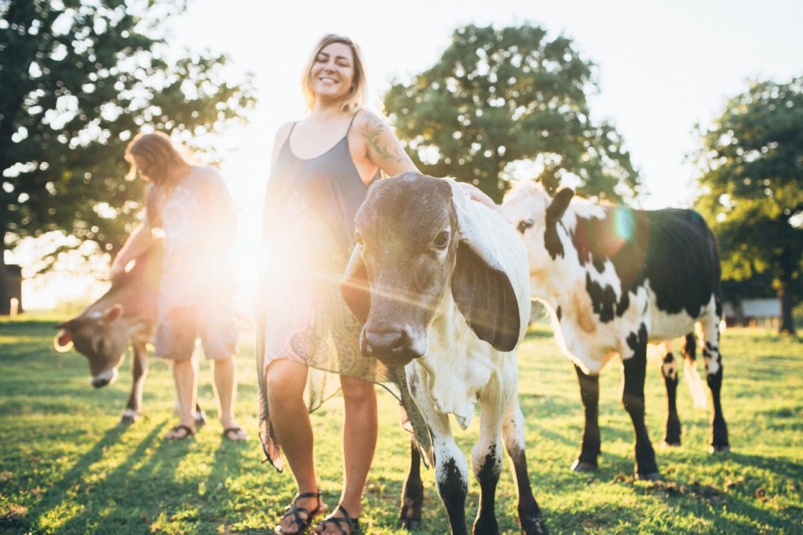 woman with cows