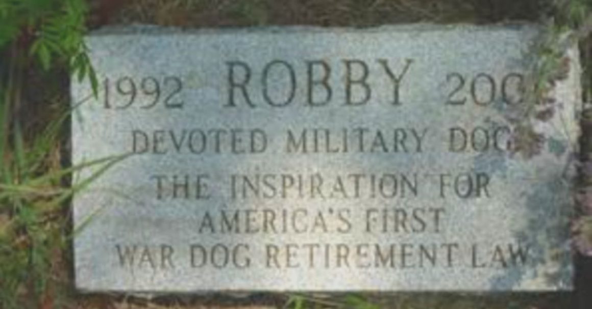 robby the military dog