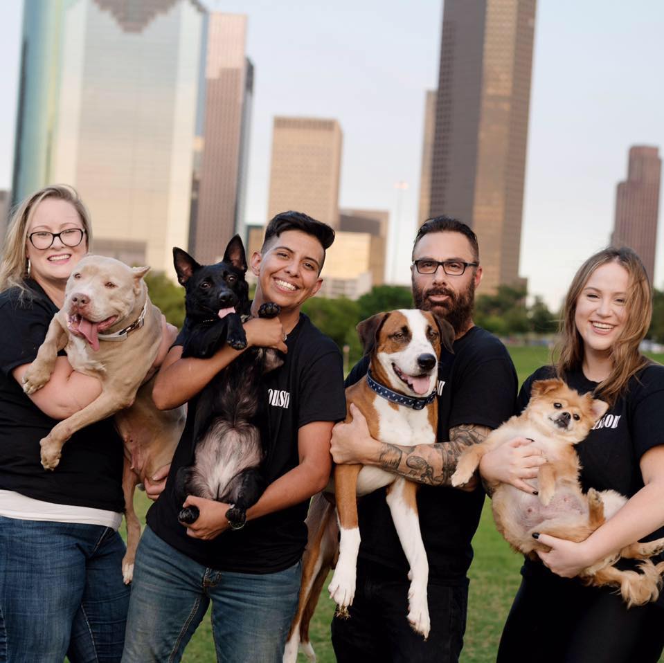 volunteers holding dogs