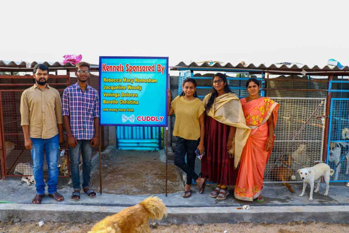 stray animal foundation women in india