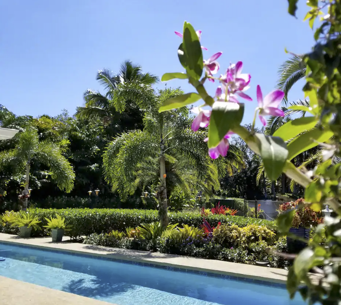 flowers and pool