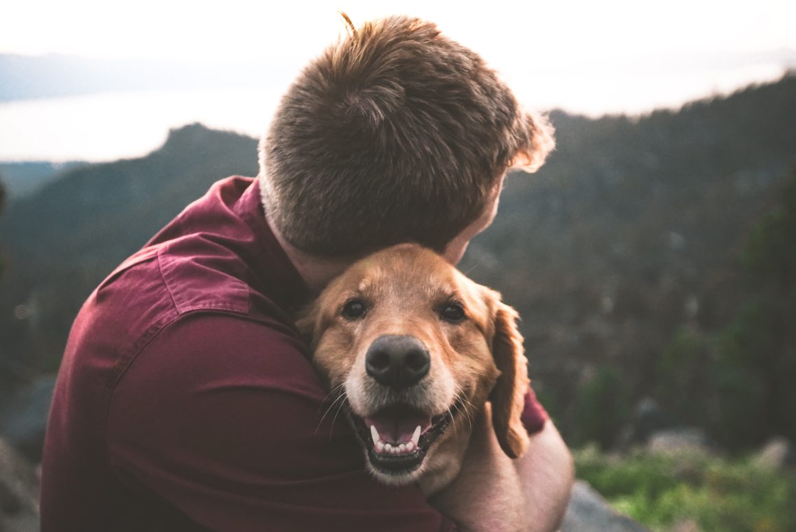 boy and golden dog