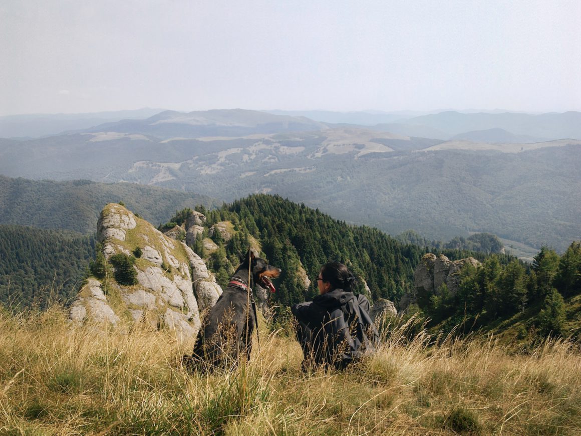 doberman on mountain