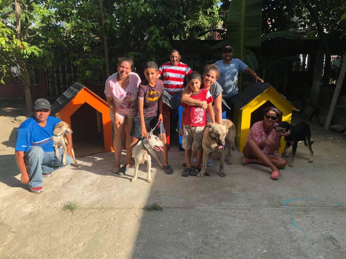 children caring for animals