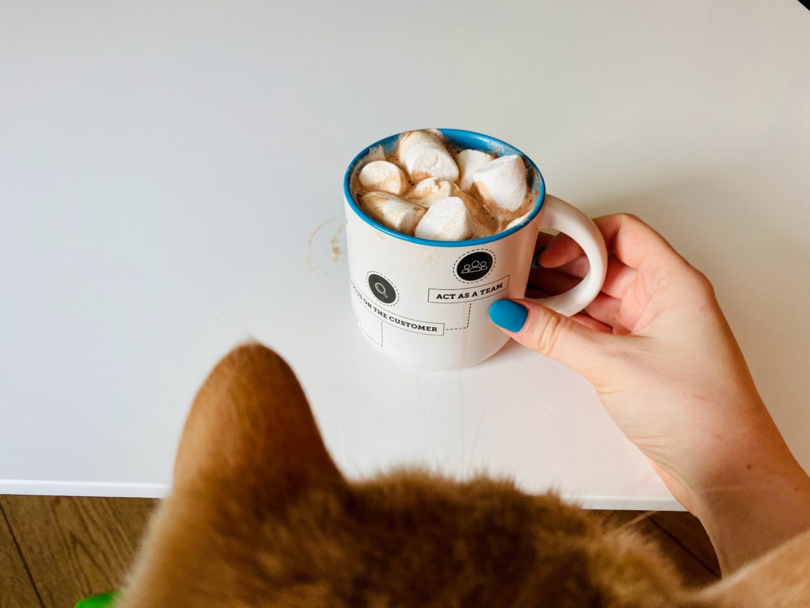 cat with cocoa