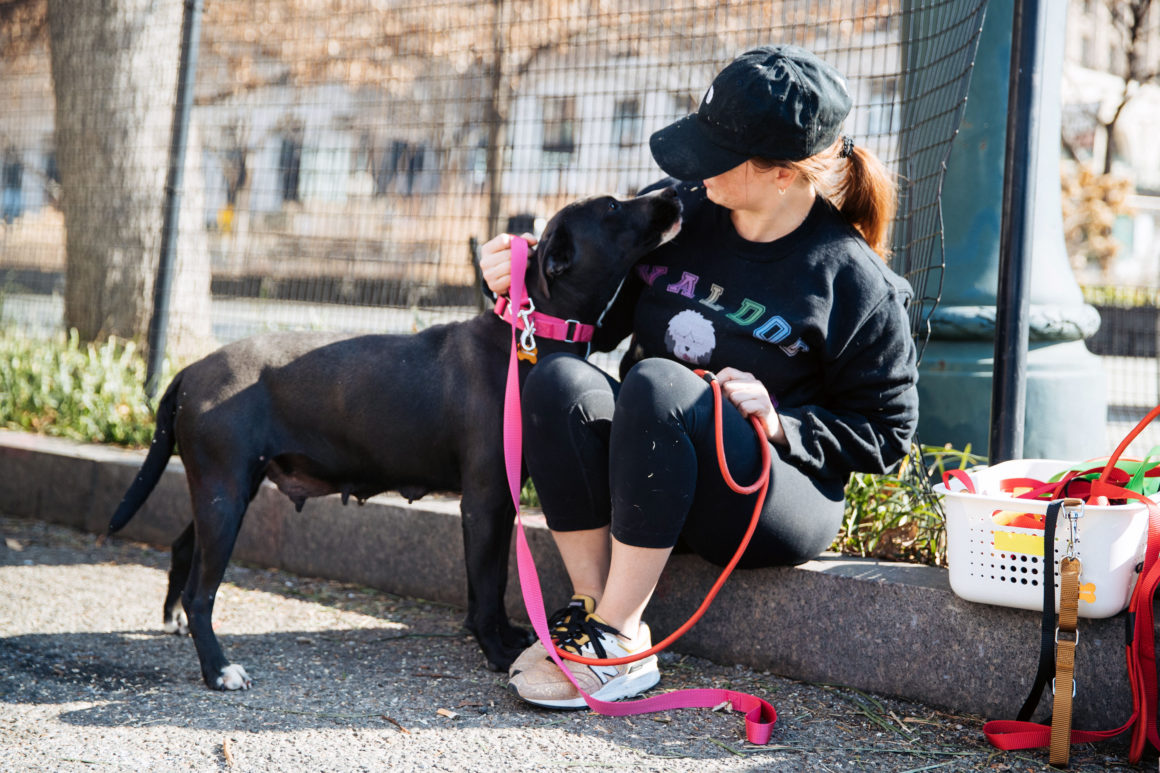 new york woman walking dog