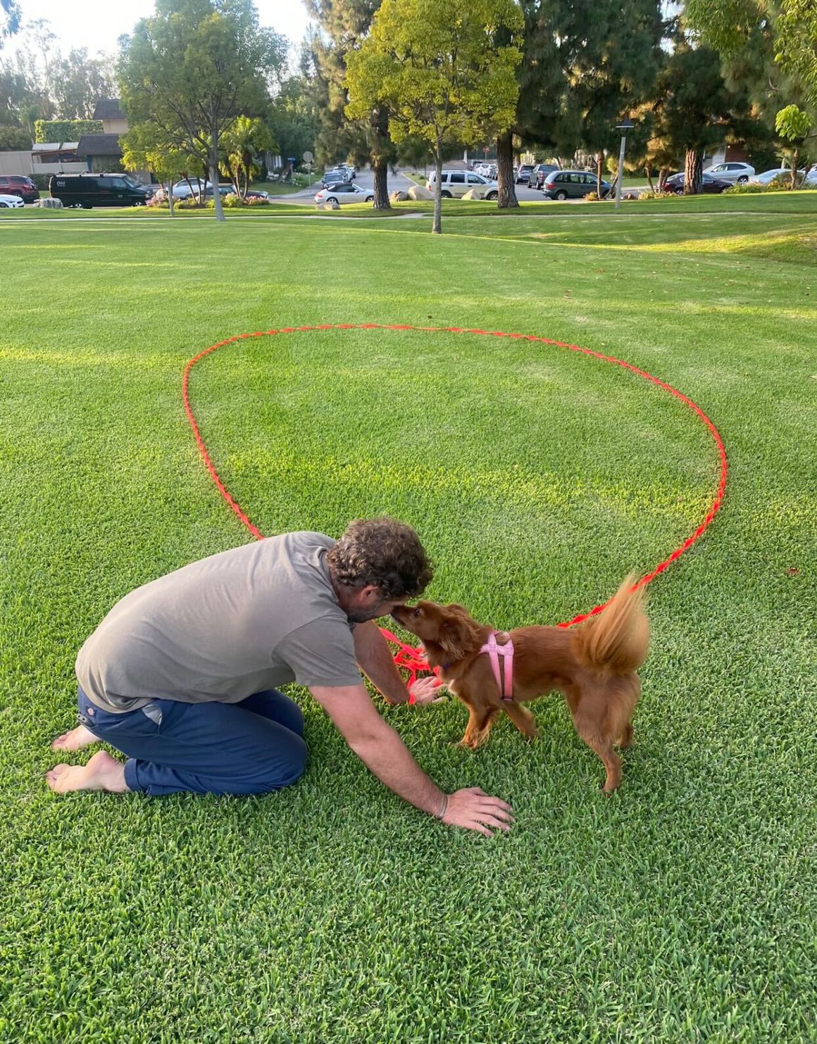 long leash dog