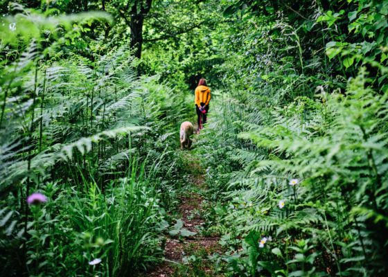 woman walking her dog in lush forest