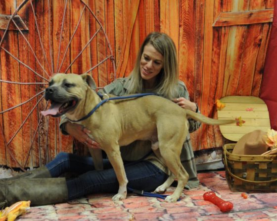 girl with dog and wagon wheel