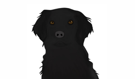 Illustration of dog who inspired PAWS of Hawaii