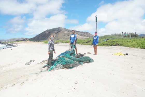 hawaii marine animal response with fishing net on beach