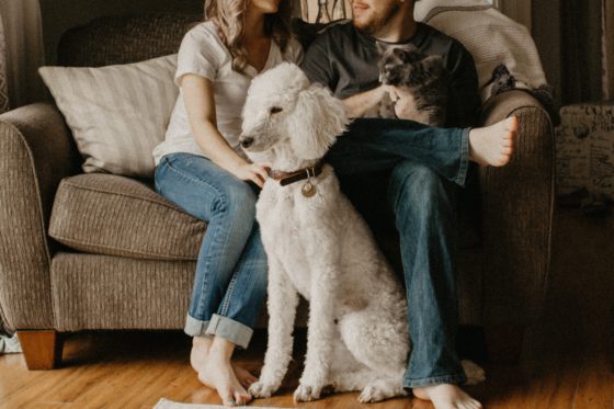 poodle and cat sitting with people near couch
