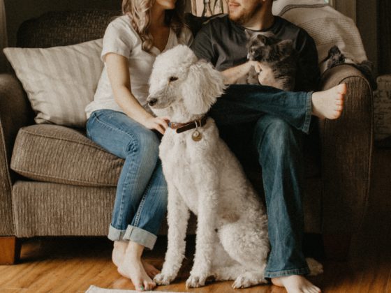 poodle and cat sitting with people near couch