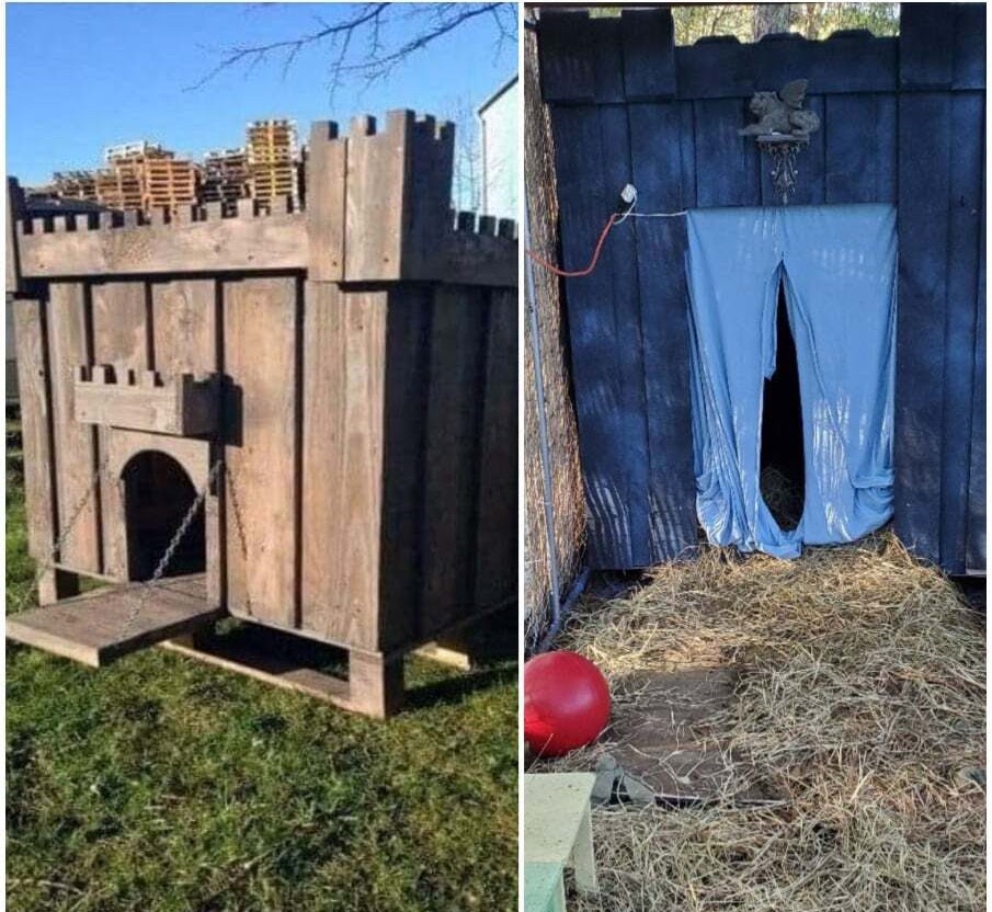 castle dog house