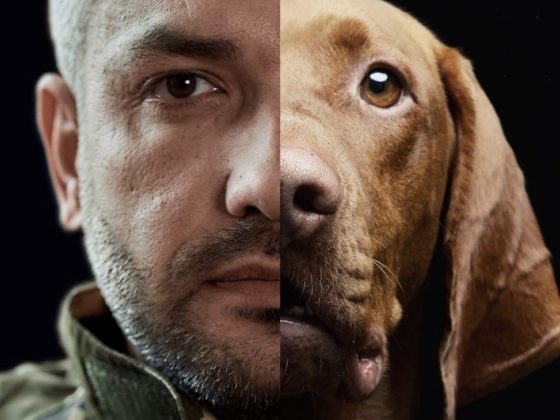 man and dog face split screen