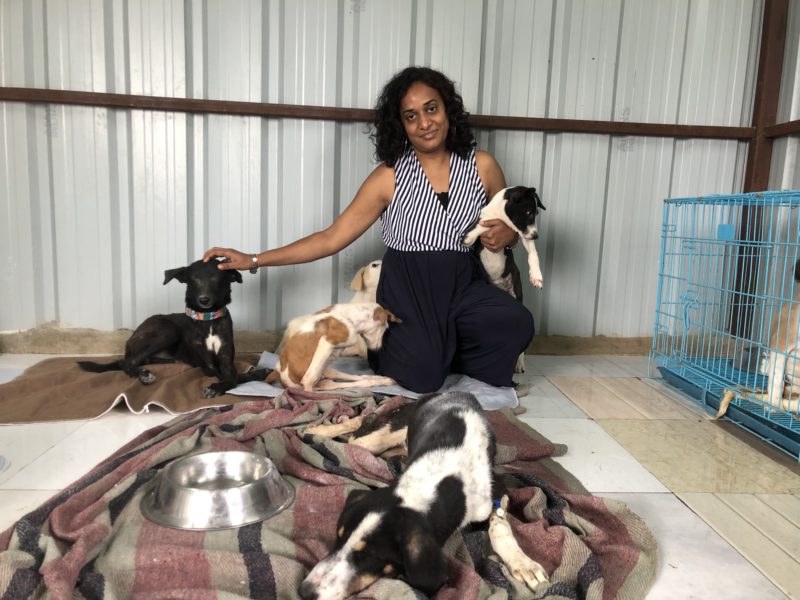 woman and stray dogs in india