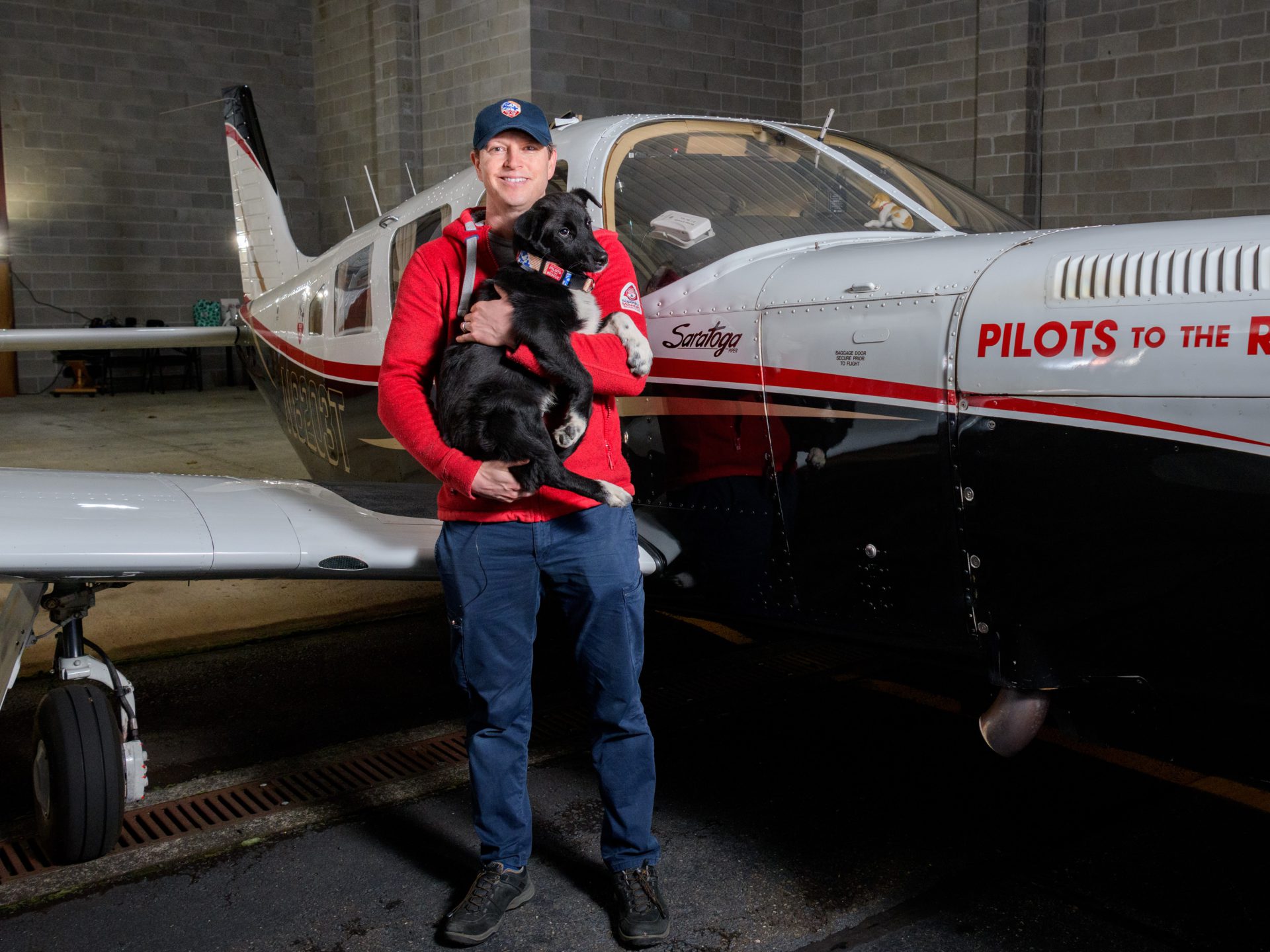 Hairballs and More What is My Cat Hacking Up? CUDDLY Blog