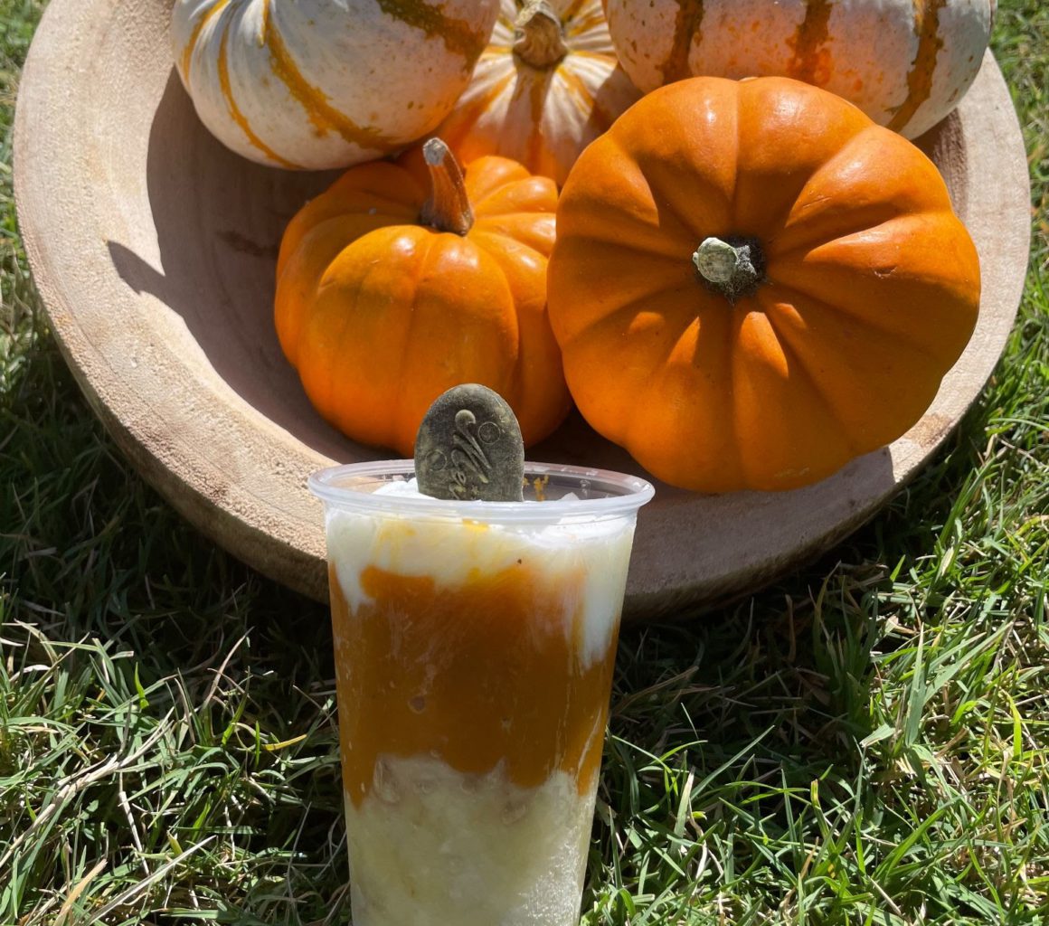 dog treat with pumpkins