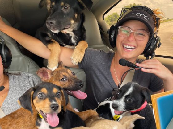 woman with rescue puppies
