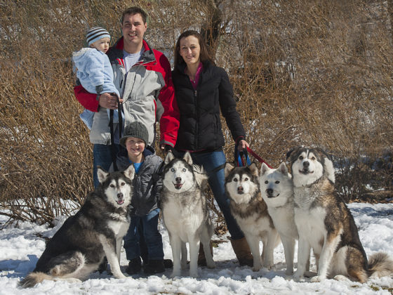 family with huskys