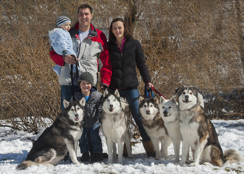 family with huskys