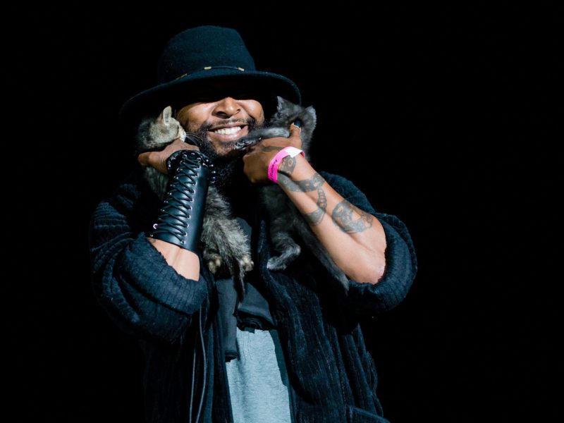 Distemper Spread, Symptoms, and Prevention CUDDLY Blog