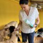 diana with yellow wall feeding dogs
