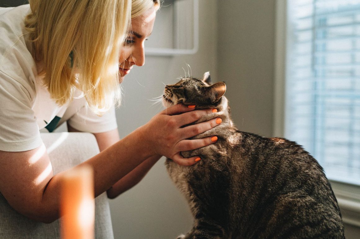 Cat with Vet