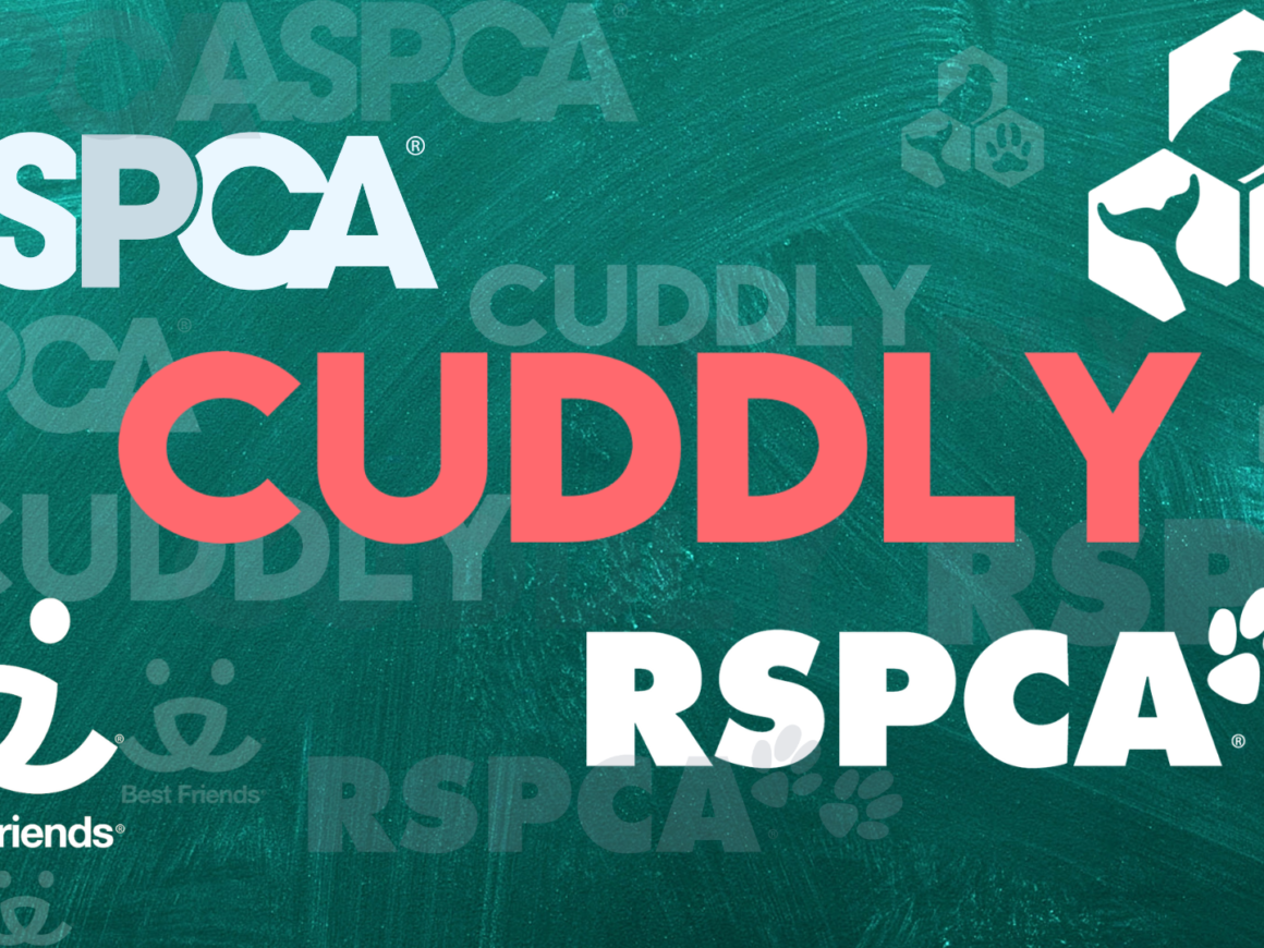 What Makes a Good Animal Shelter? How To Spot The Best From All The Rest