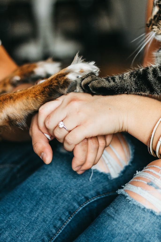 pets holding hands with owner