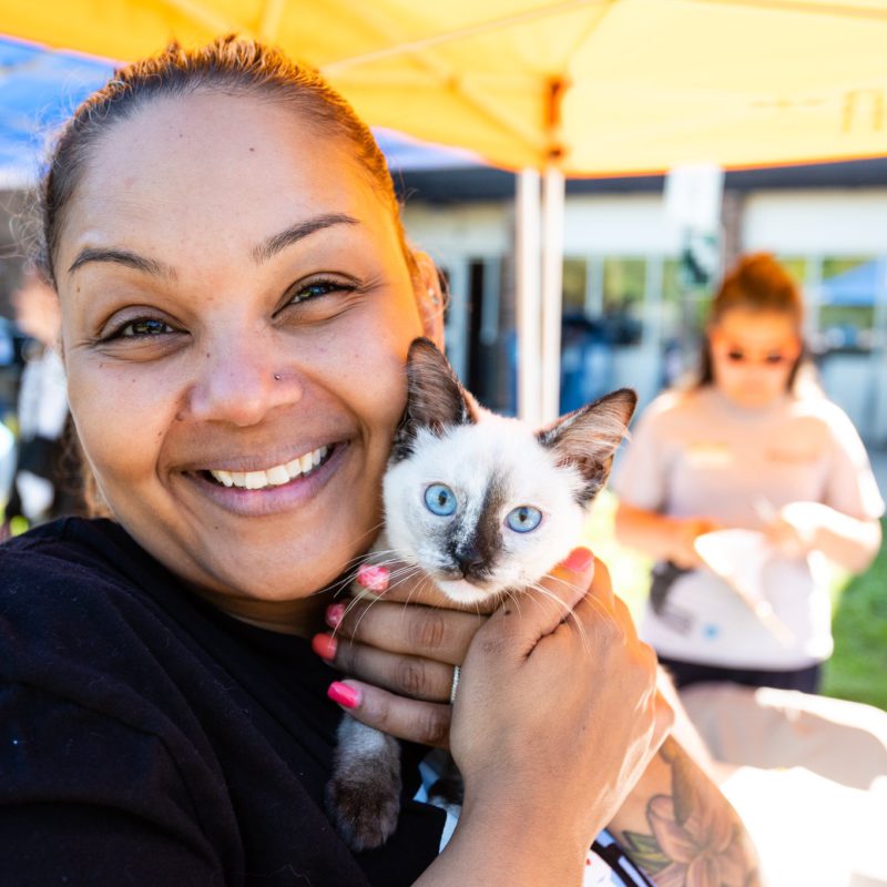 9 Things Animal Shelters Need The Most CUDDLY Blog